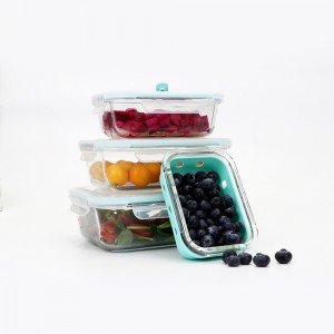 Microwave Heatable Heat-resistant High Borosilicate Glass Food Container Sealed And Leak-proof