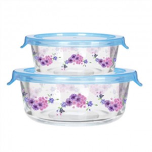 Glass Lunch Box With Storage Lid With Decal Pattern Glass Meal Containers