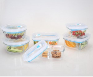 Borosilicate Glass Meal Food Lunch Box Set With Pump