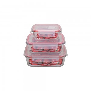 High Borosilicate Glass Preservation Box With PP Plastic Locked Lid and vent